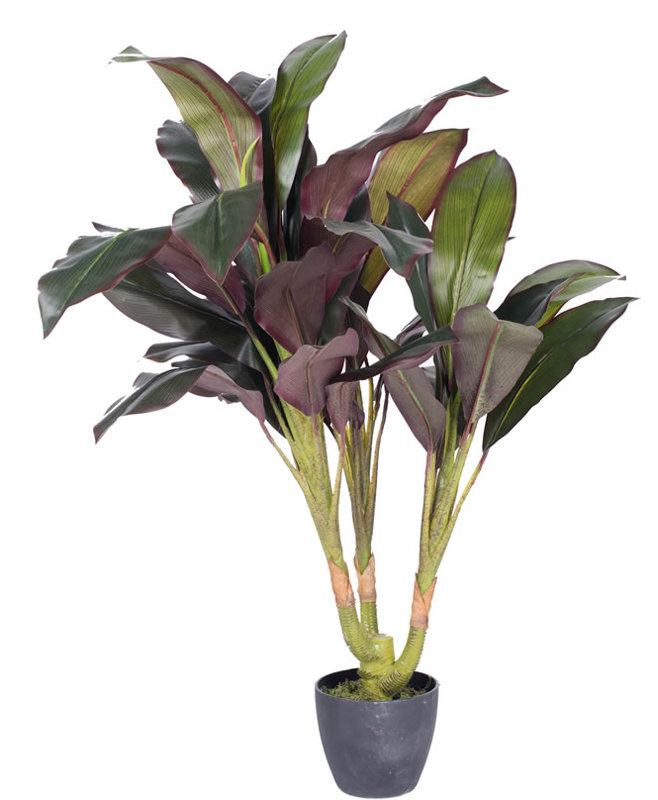 Real Touch Floor Dracaena Plant in Pot & Reviews AllModern